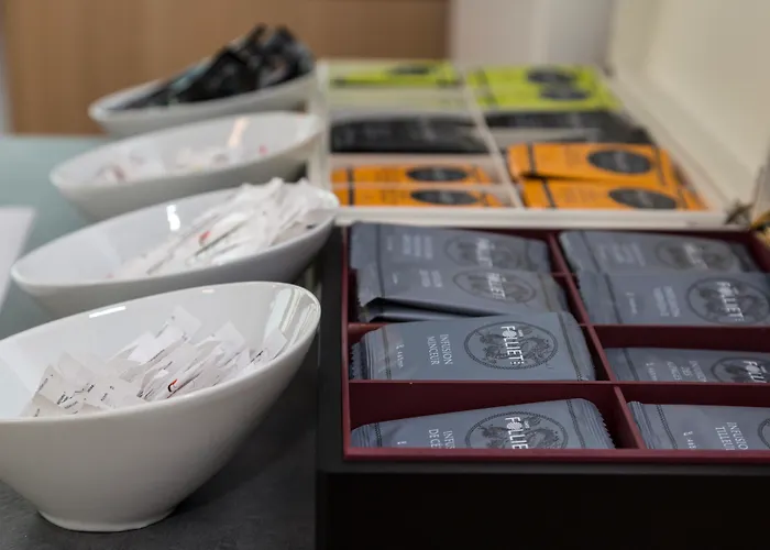 Odalys - Cite Des Congres 3* 南特